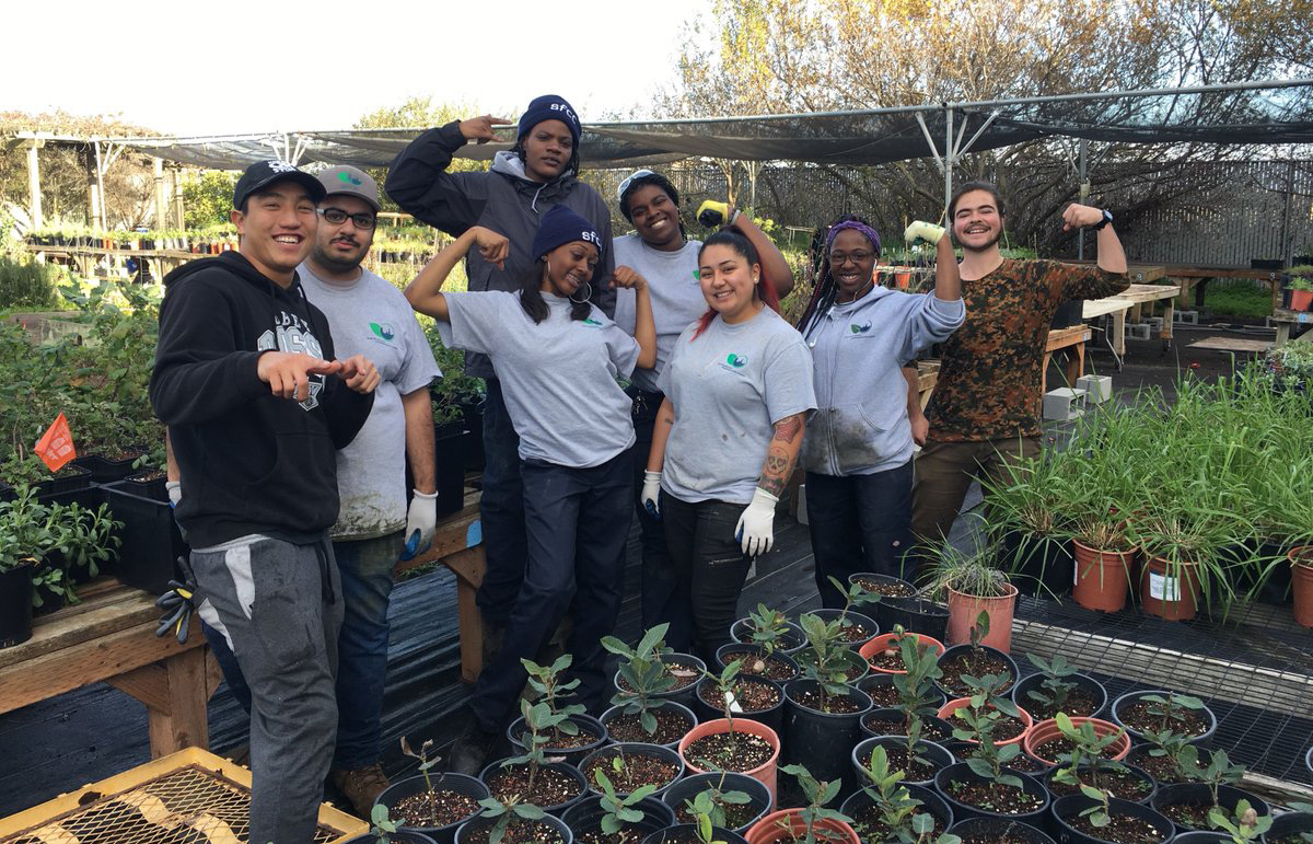 Image of a plant nursery. Photo Credit: SF Conservation Corps and Literacy for Environmental Justice